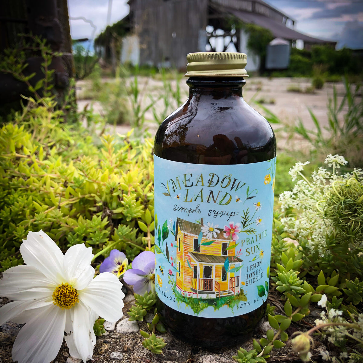 Sirup Insun Prairie Sun Simple Syrup – Meadowland Syrup